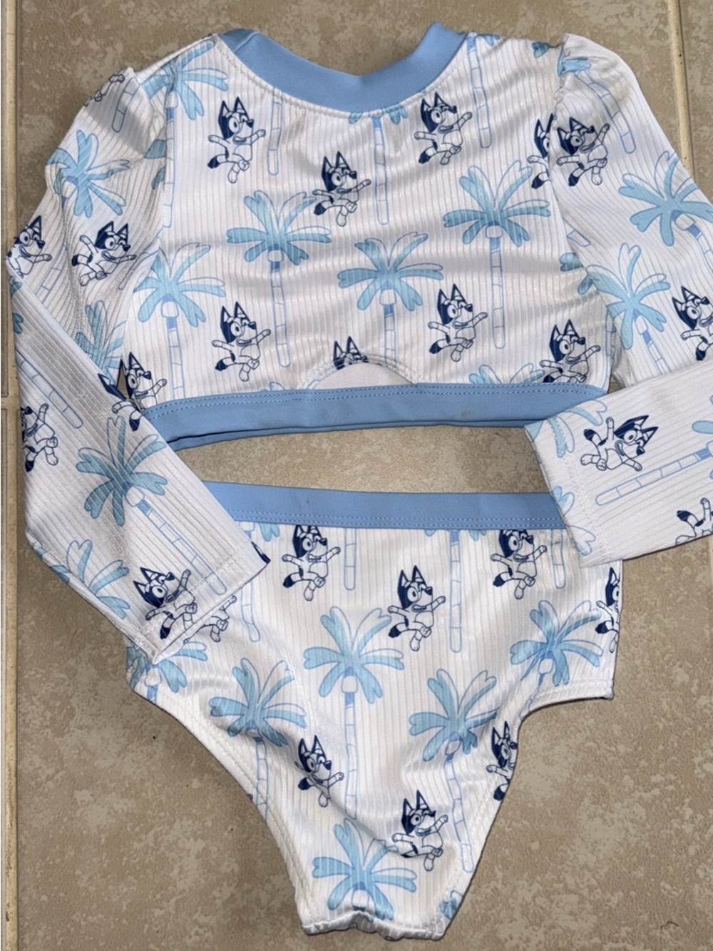 Bluey Palm Print Two-Piece Swim Set - 2T